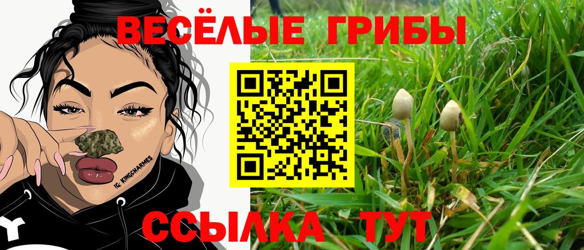 Кинешма  Галлюциногенные грибы прущие грибы  хочу   Вход с VPN 